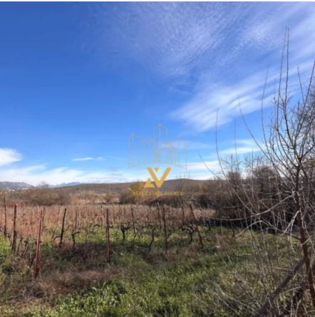 Urbanized Plot for Sale